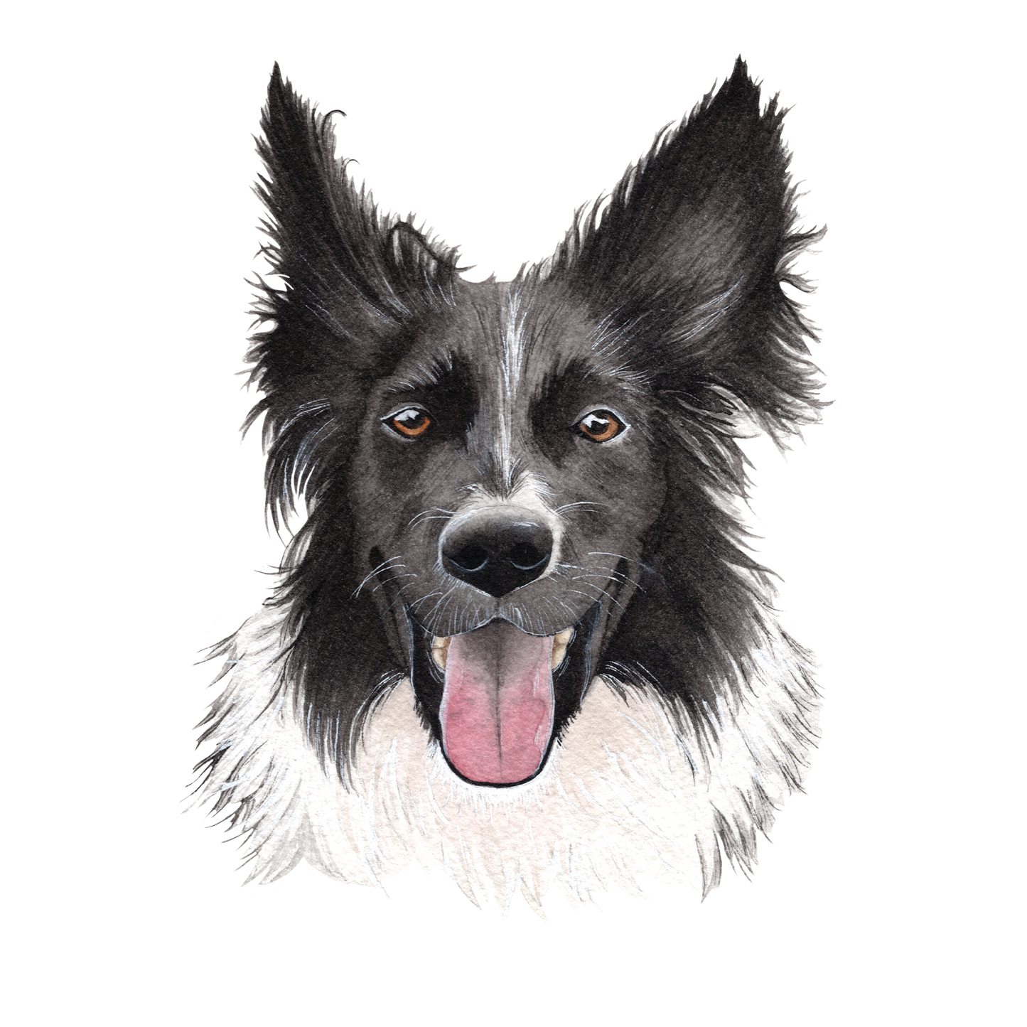 Full Size Pet Portraits
