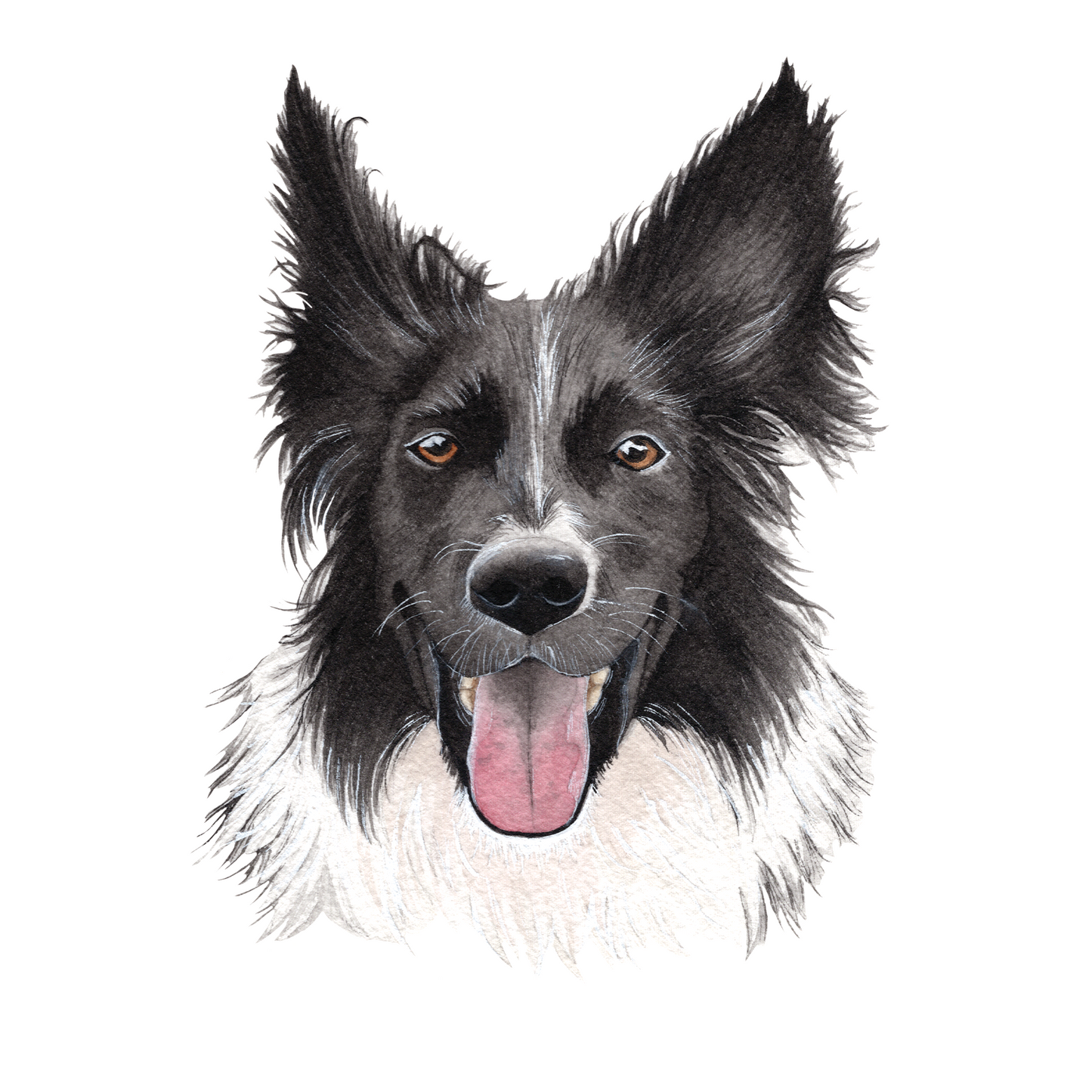 Mini Pet Portraits