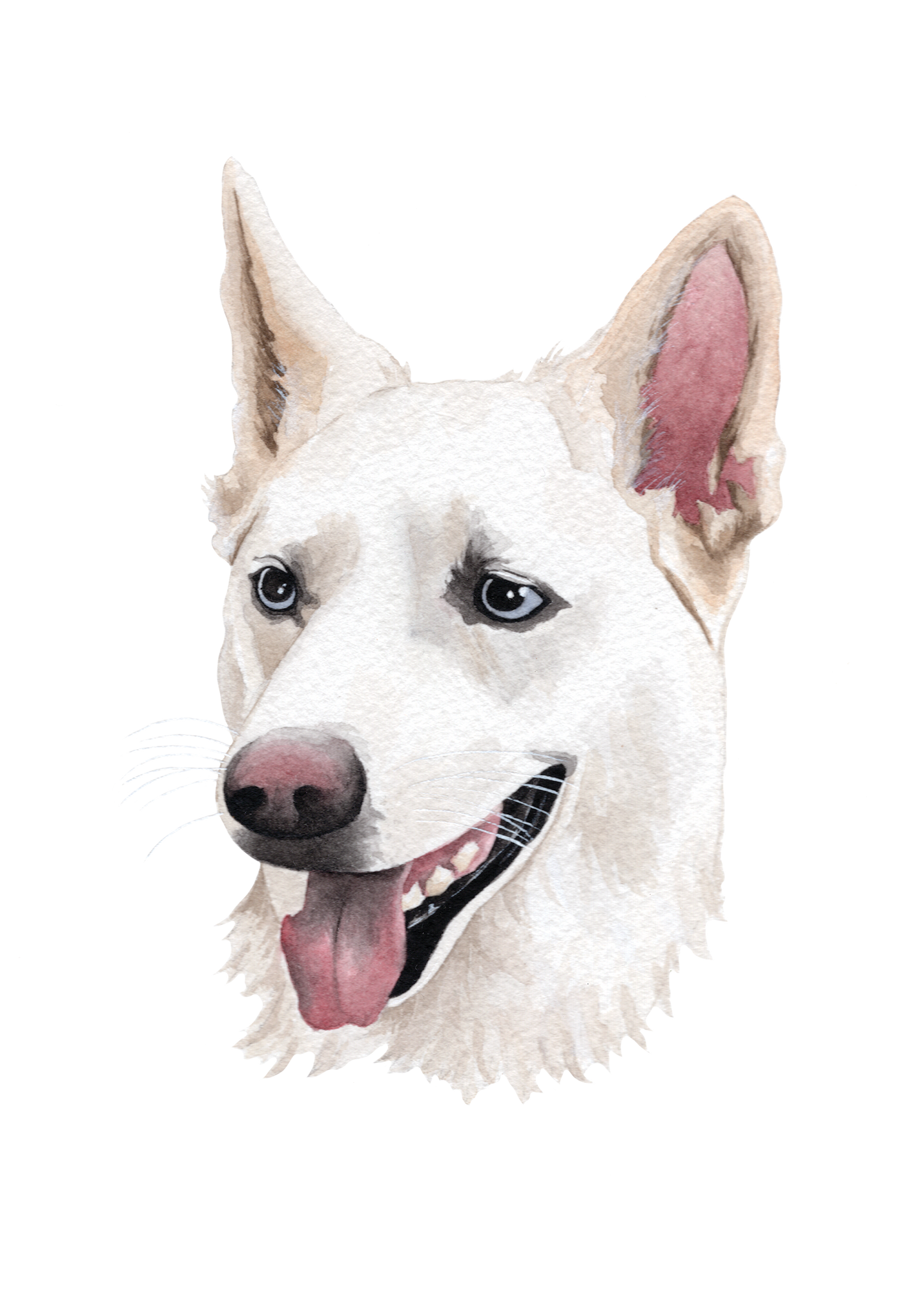 Mini Pet Portraits