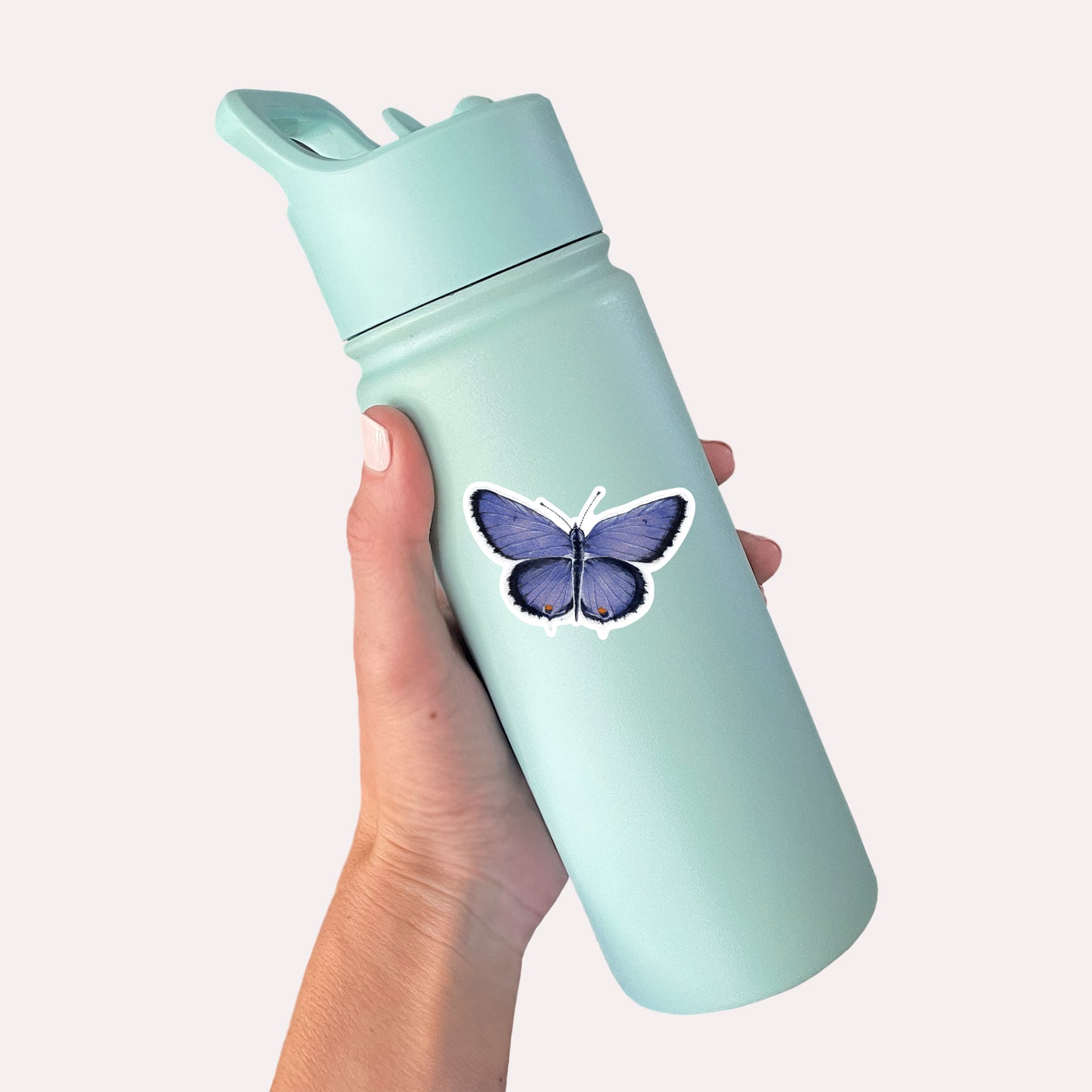 Eastern Tailed Blue Butterfly Sticker