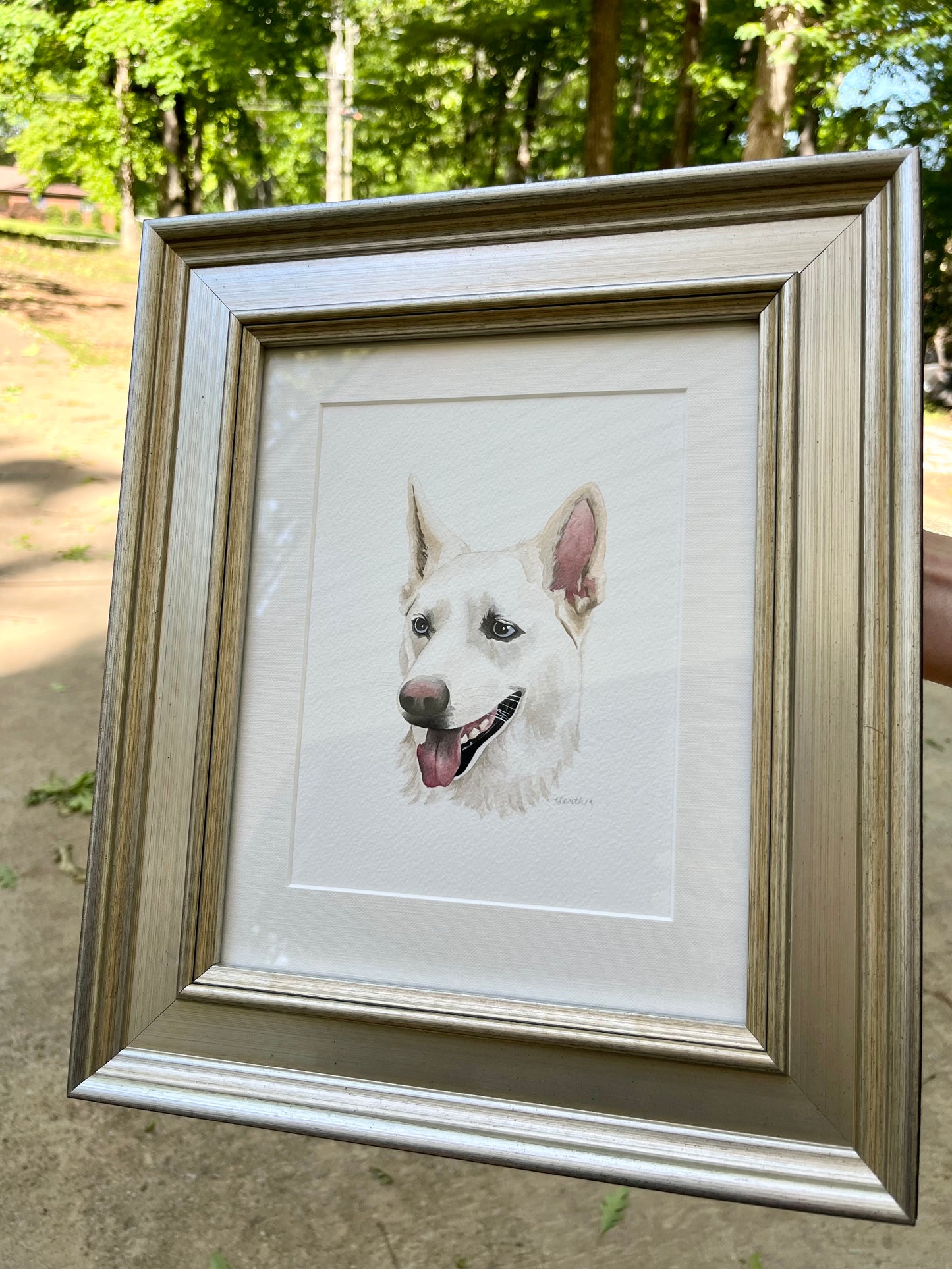 Mini Pet Portraits