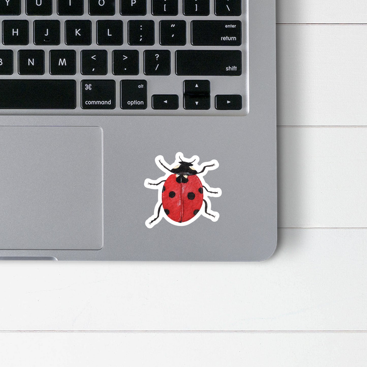 Ladybug Sticker