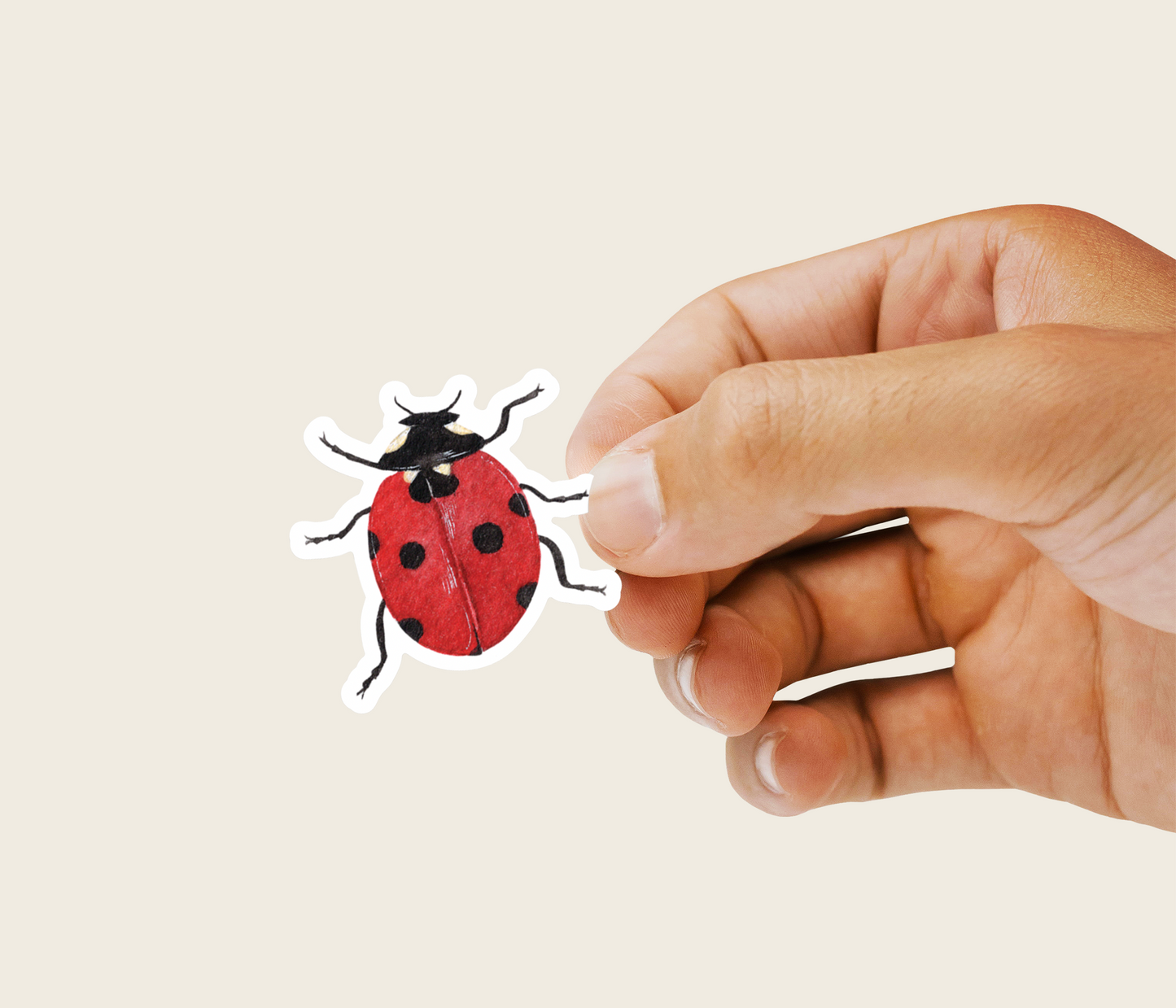 Ladybug Sticker