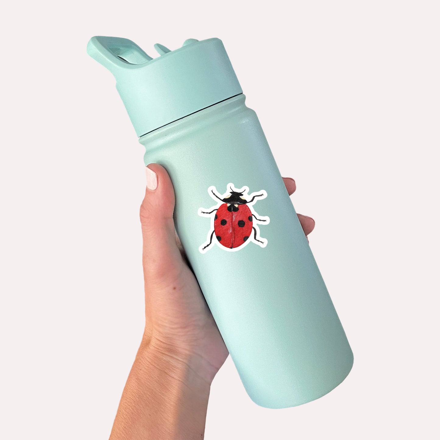 Ladybug Sticker