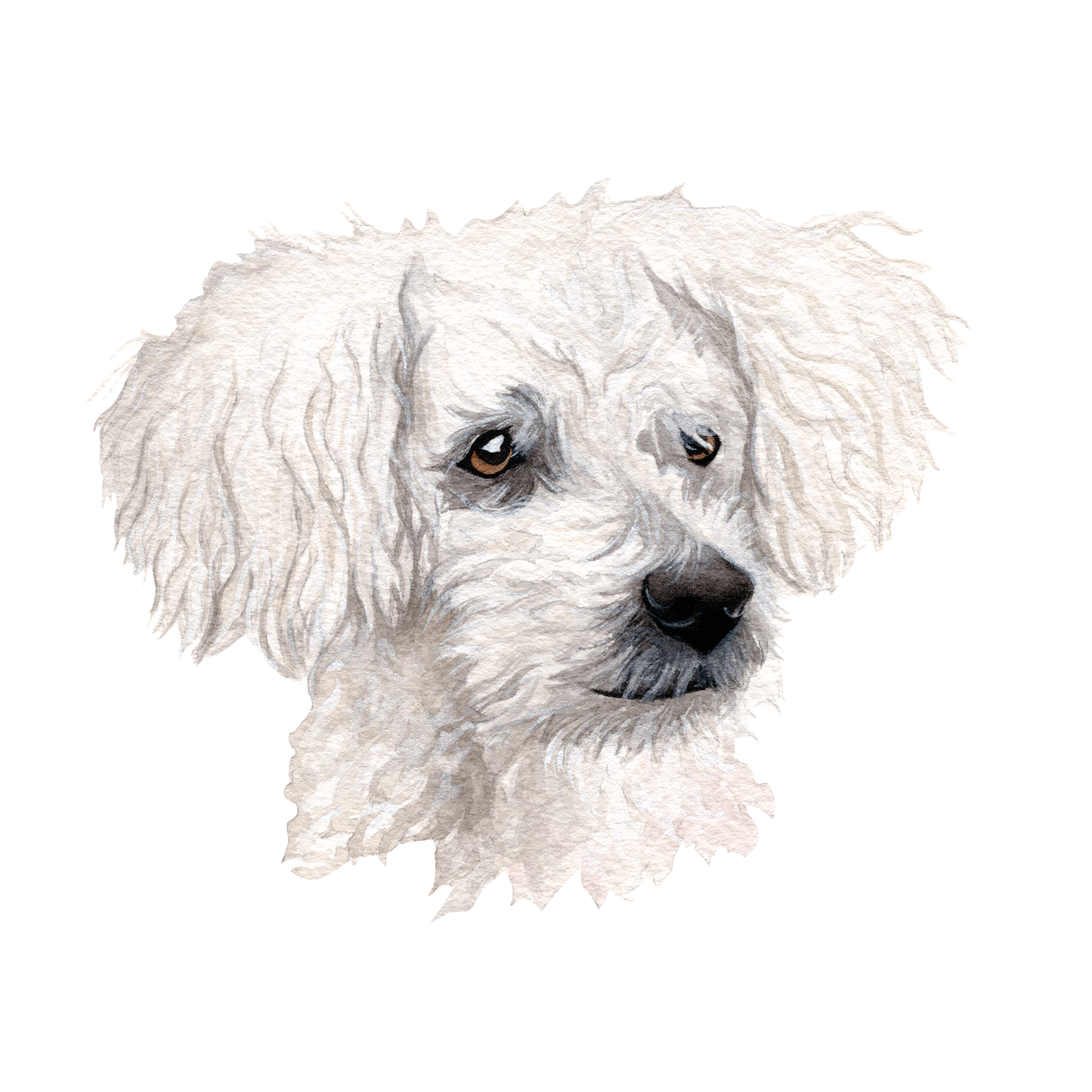 Mini Pet Portraits