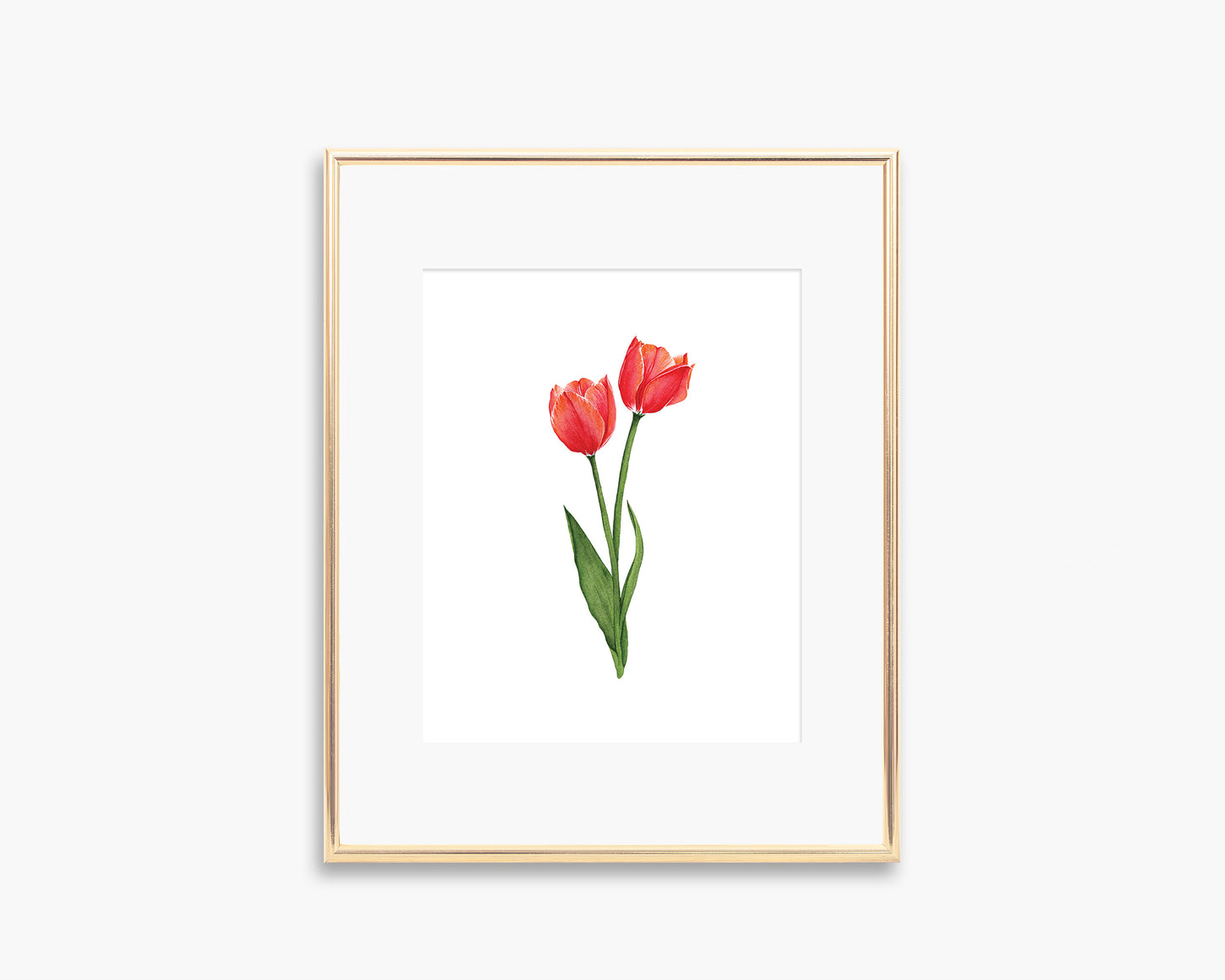 Tulip Art Print