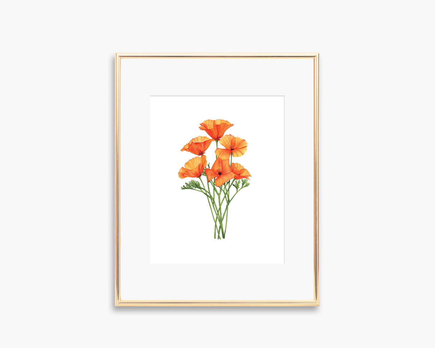 Poppy Art Print