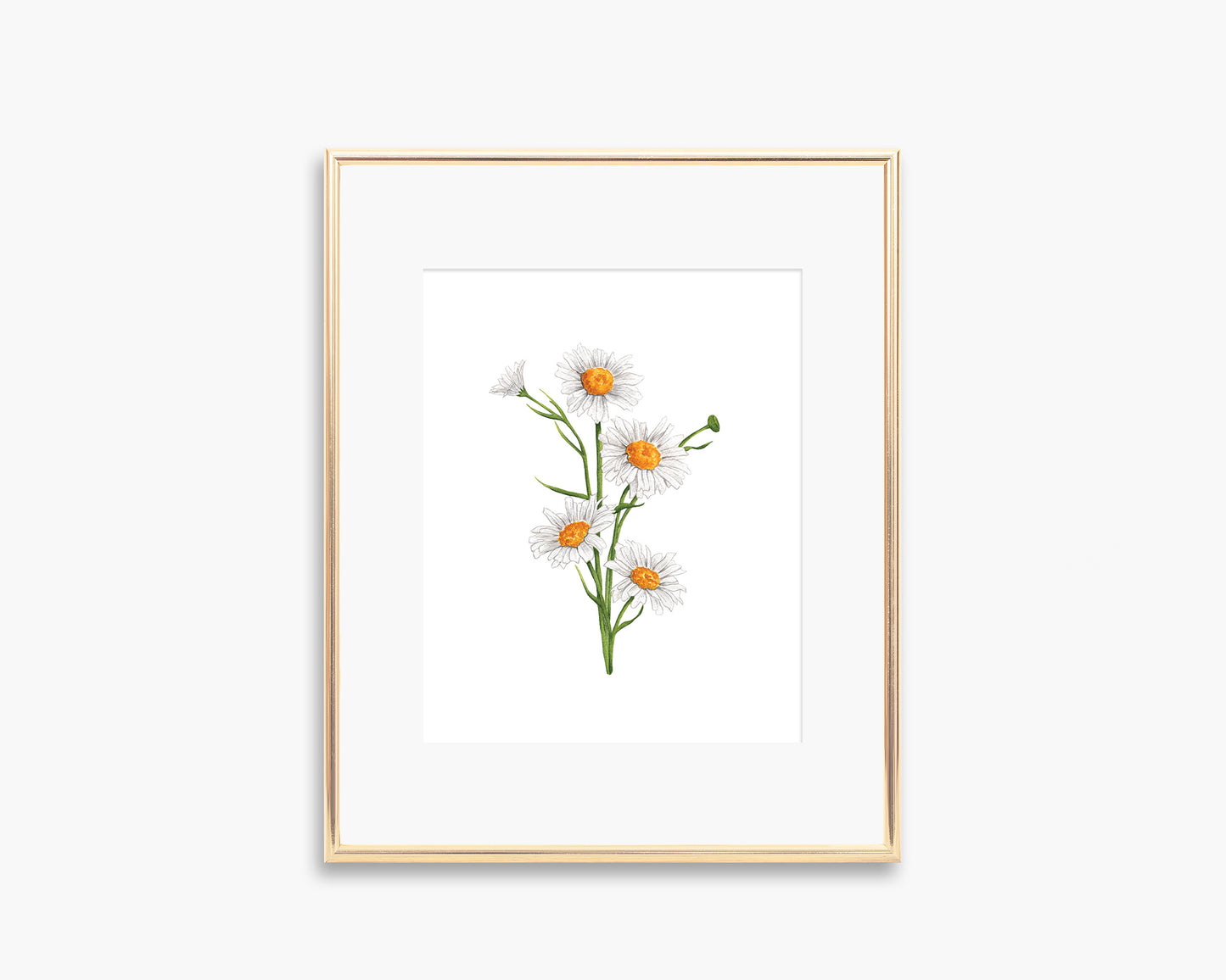 Daisy Art Print