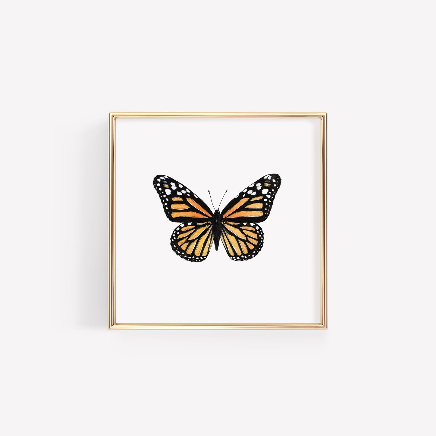 Monarch Butterfly Art Print