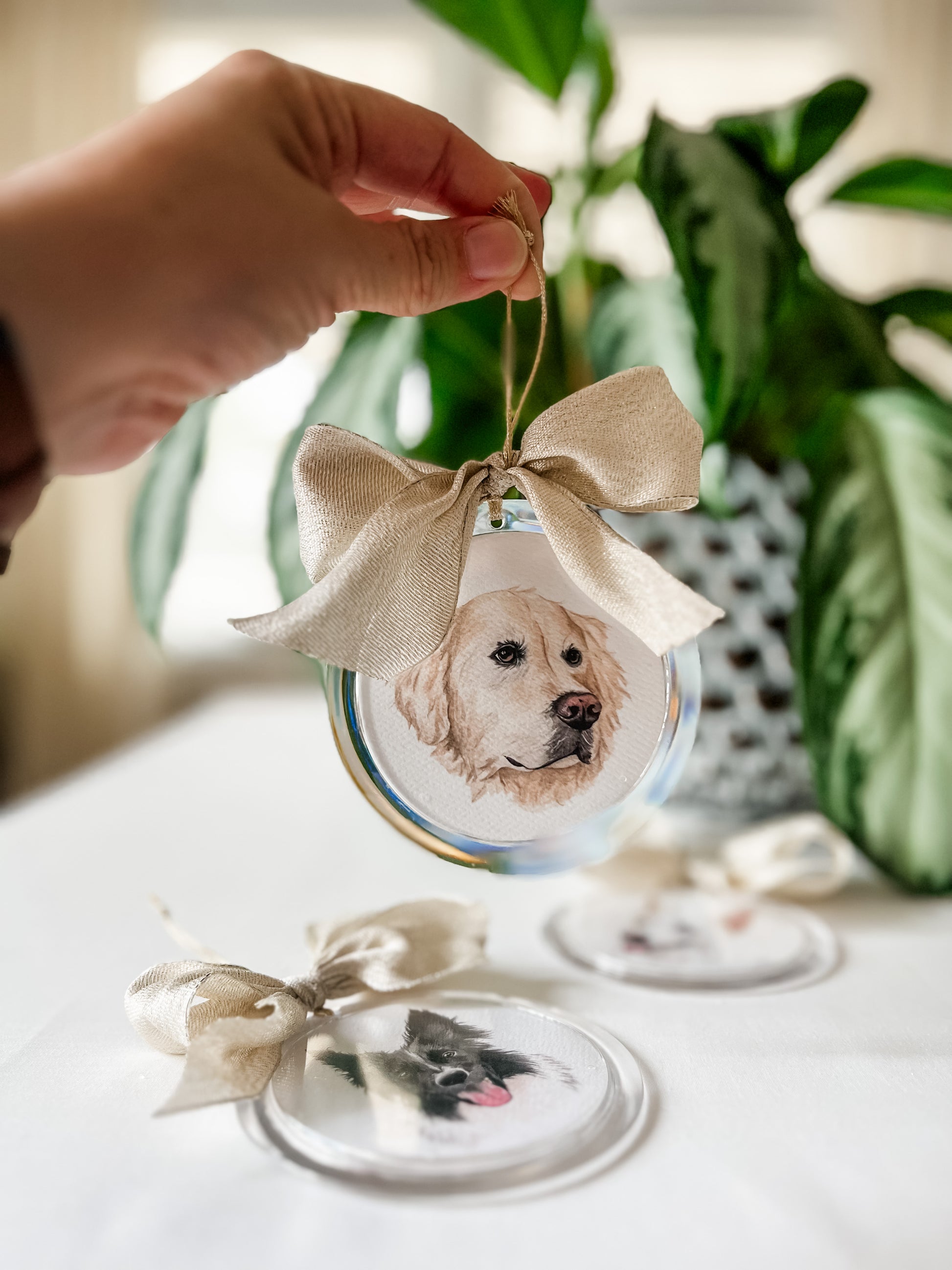 Pet Portrait Ornament – Tara Feather Designs