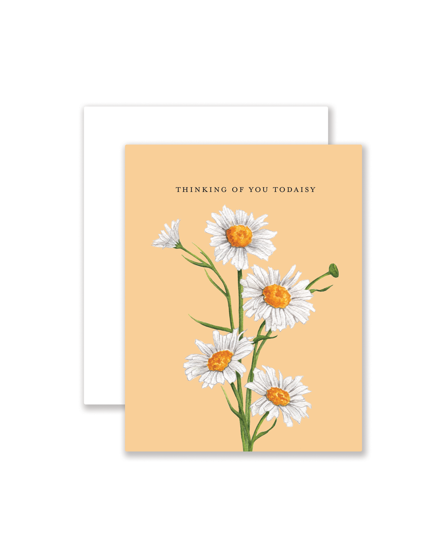 Thinking of You Todaisy Greeting Card