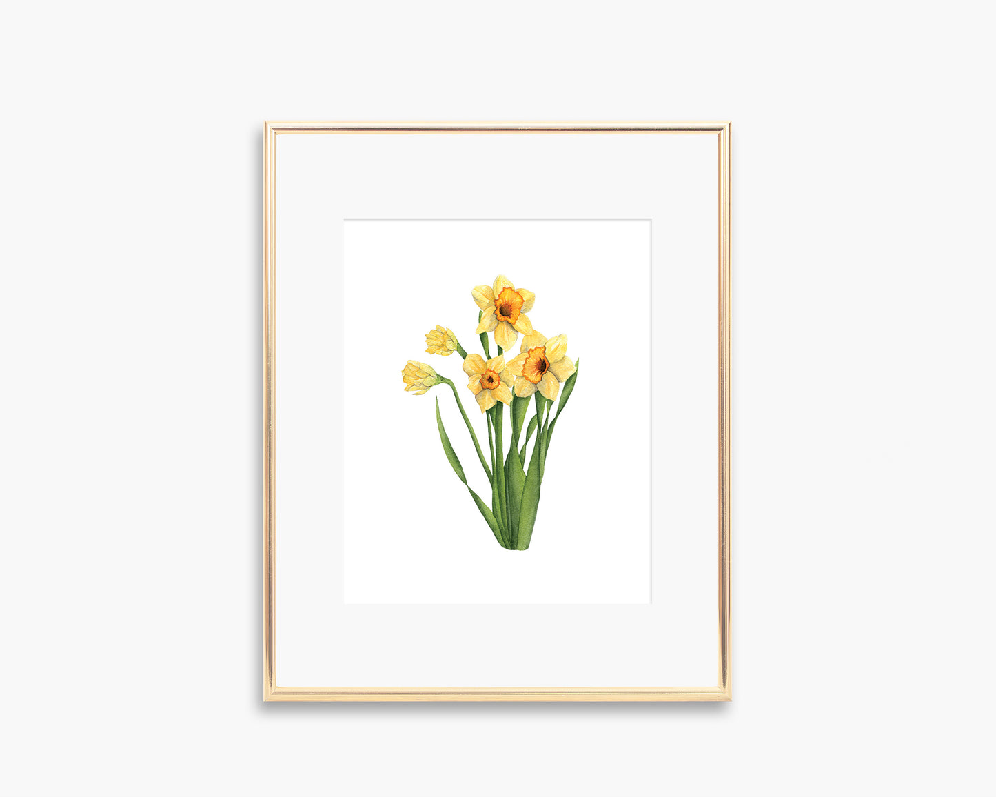 Daffodil Art Print