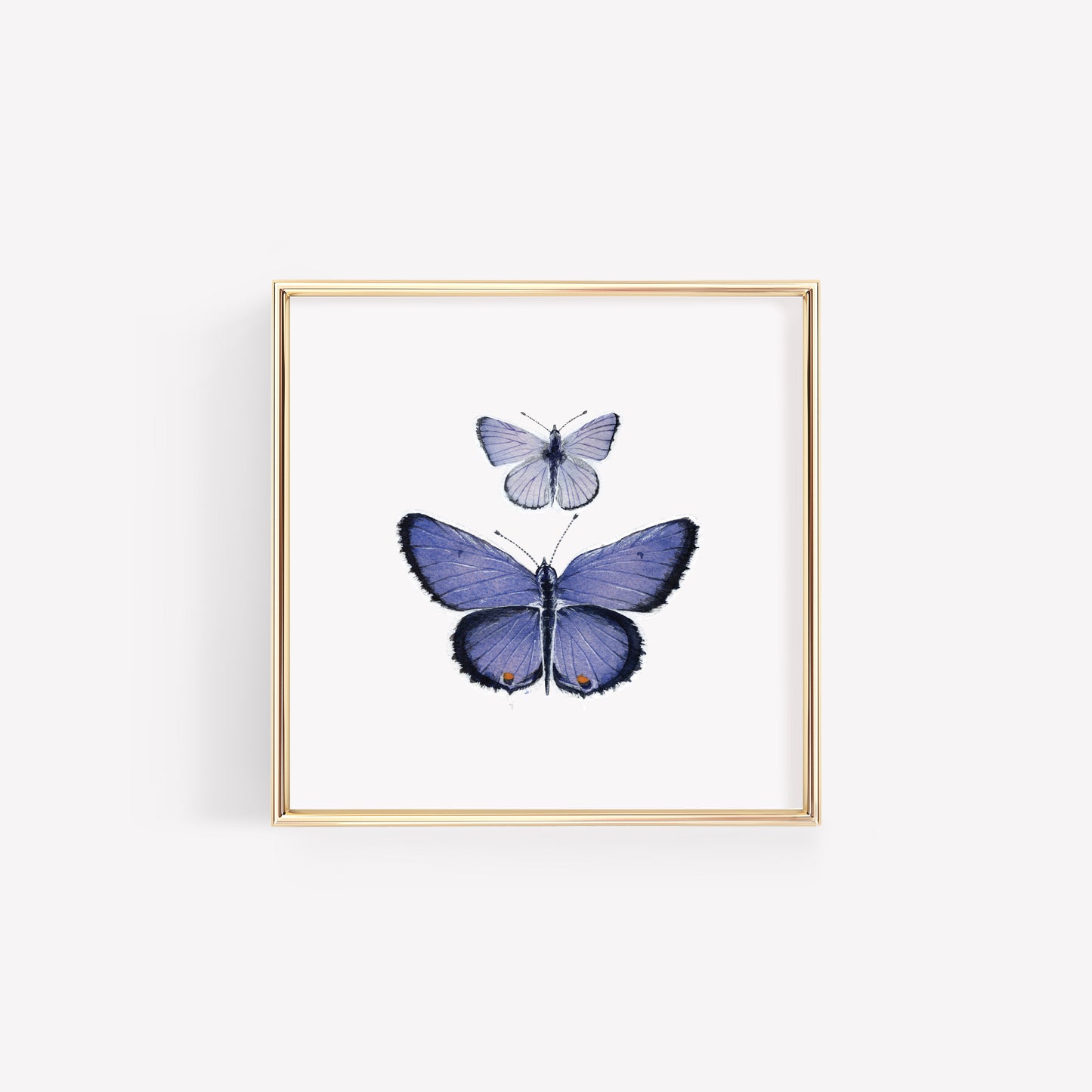 Eastern Tailed Blue Butterfly Art Print