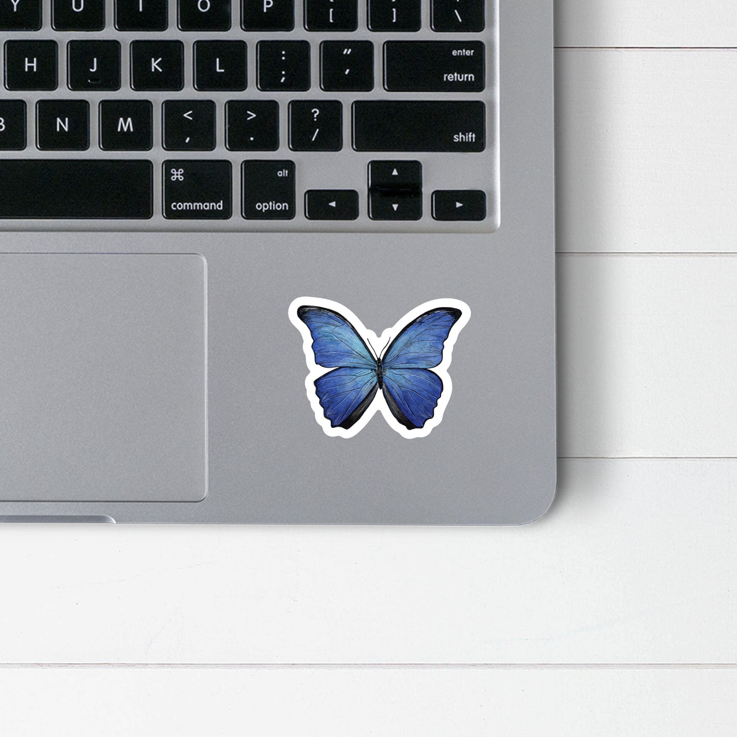 Blue Morpho Butterfly Sticker