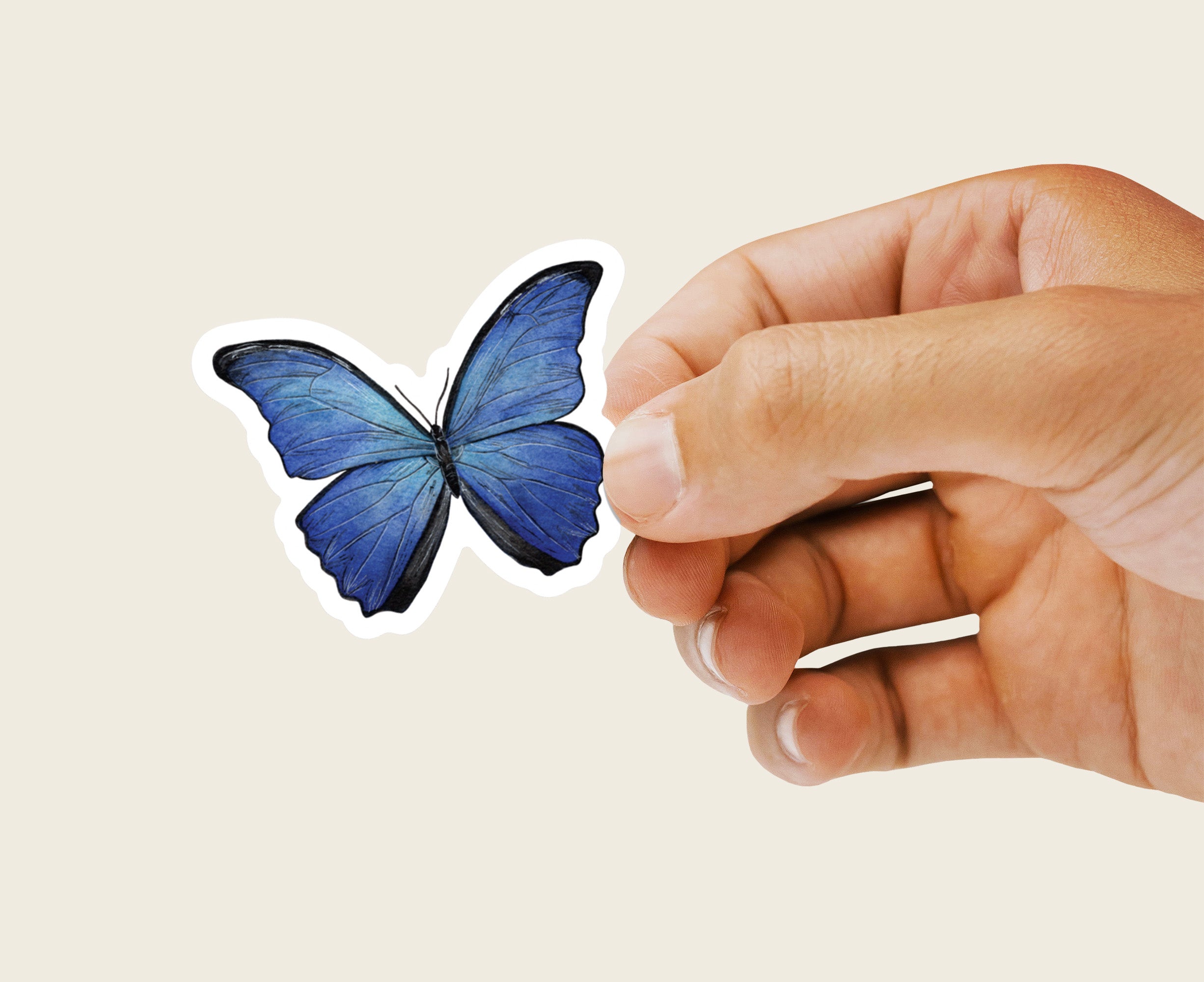 Blue Morpho Butterfly Sticker – Tara Feather Designs