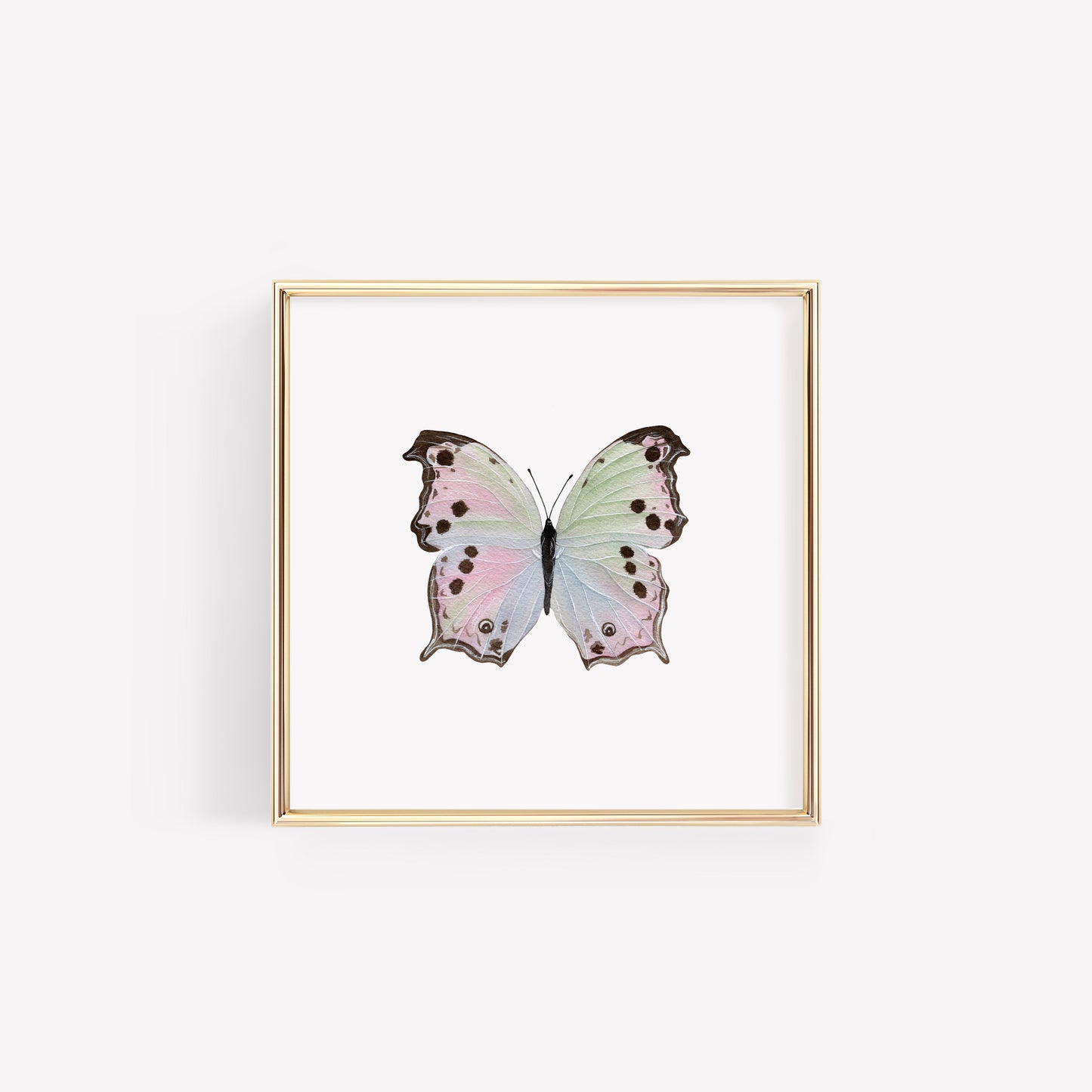 Mother of Pearl Butterfly Art Print