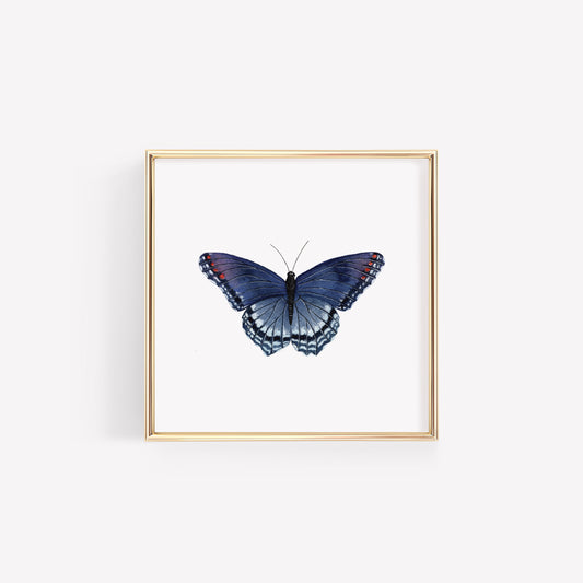 Red Spotted Purple Butterfly Art Print